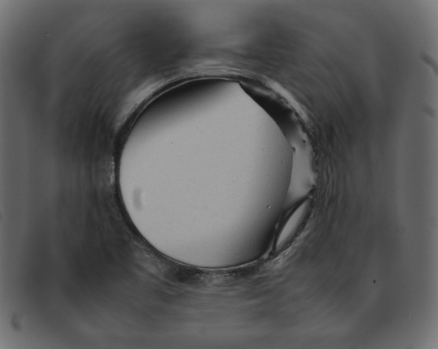 X0000092211461200710121119
