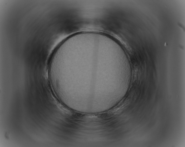 X0000092211462200710121119