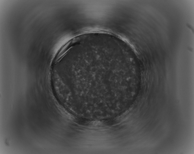 X0000092211463200710121119