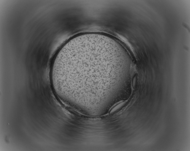 X0000092211464200710121119