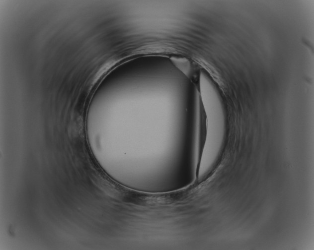 X0000092211465200710121119