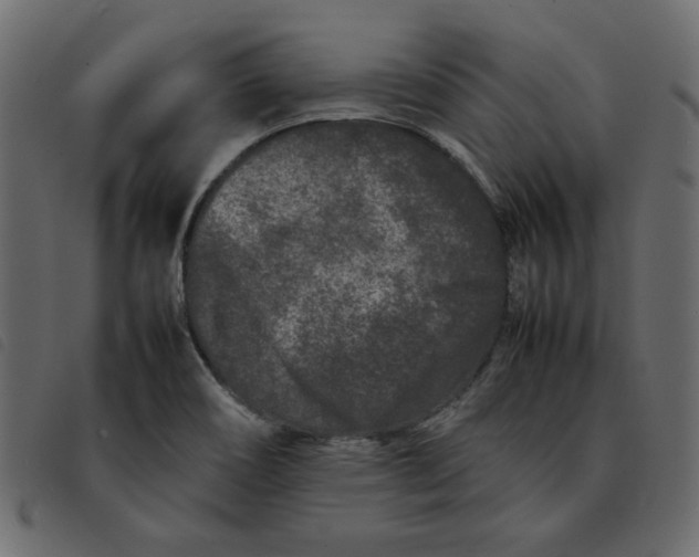 X0000092211466200710121119