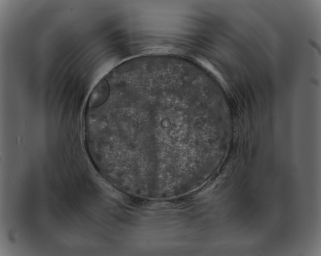 X0000092211467200710121119