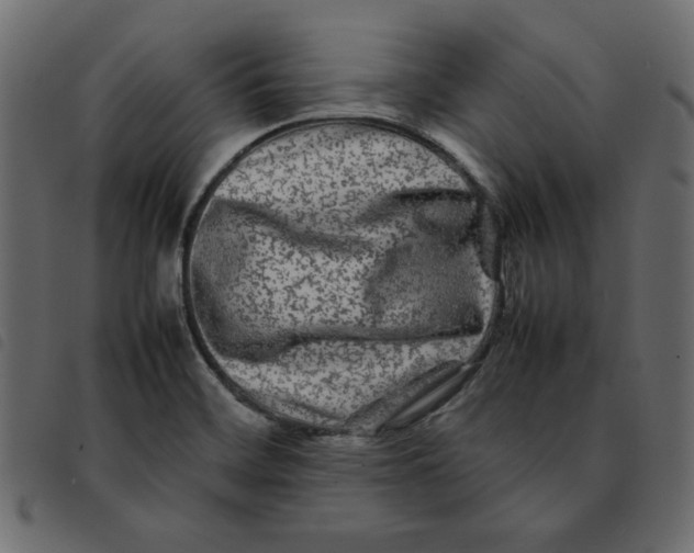 X0000092211468200710121119