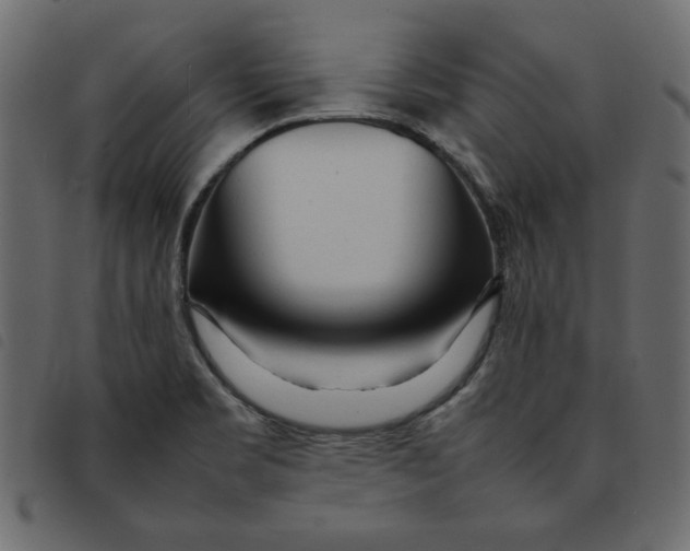 X0000092211469200710121119