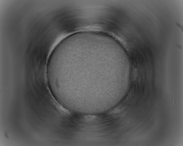 X0000092211470200710121119