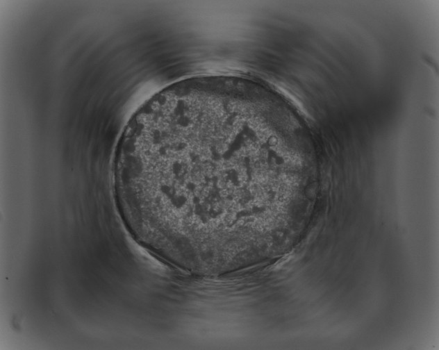 X0000092211471200710121119
