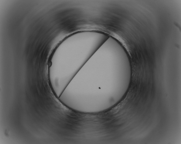 X0000092211472200710121118