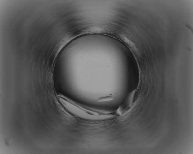 X0000092211473200710121118