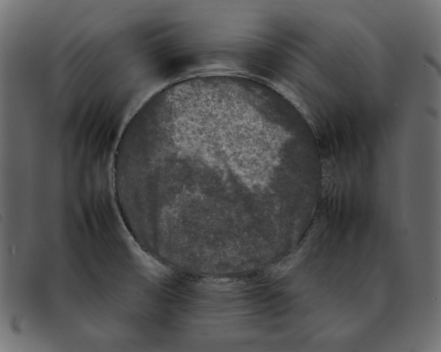 X0000092211474200710121118