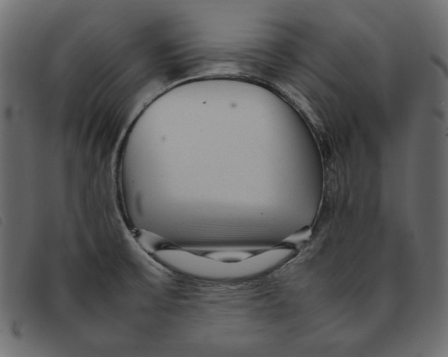 X0000092211475200710121118