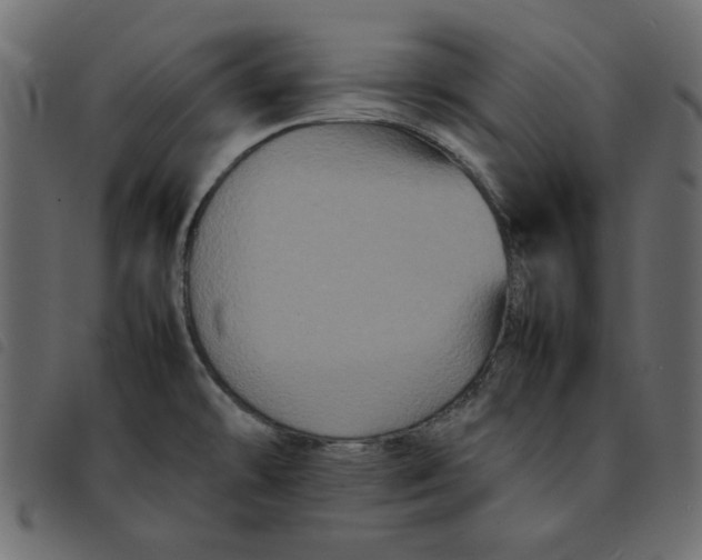X0000092211478200710121118