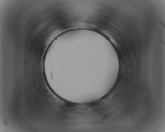 X0000092211479200710121118