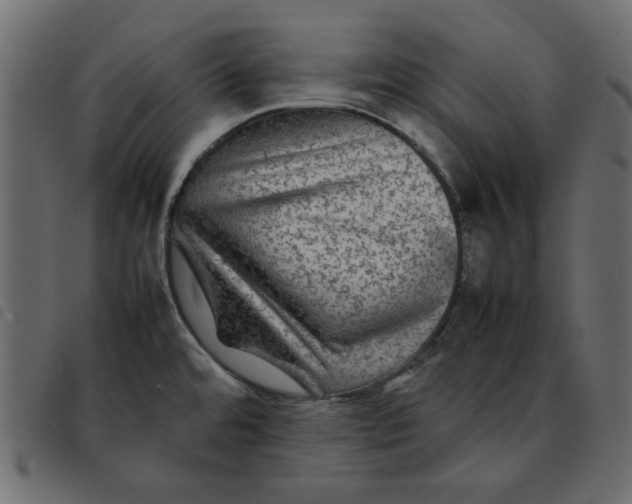X0000092211480200710121118