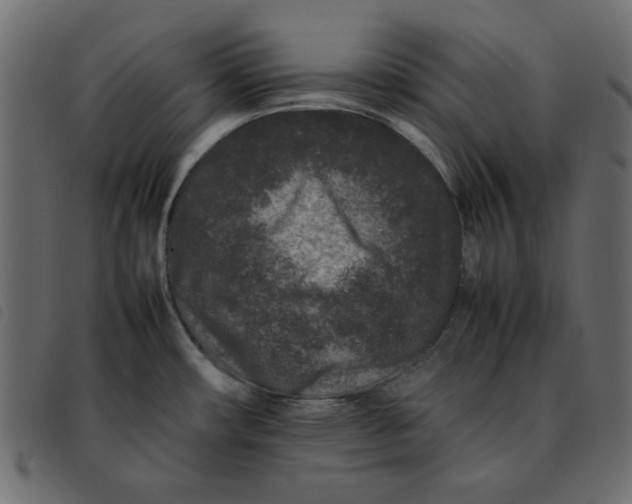 X0000092211482200710121118