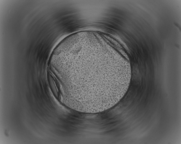 X0000092211484200710121118