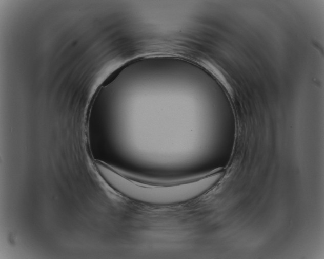 X0000092211485200710121118