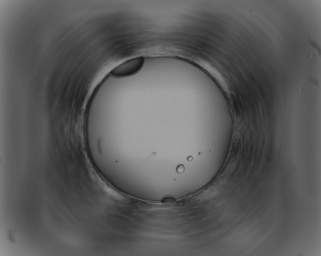 X0000092211486200710121118