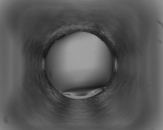 X0000092211492200710121118