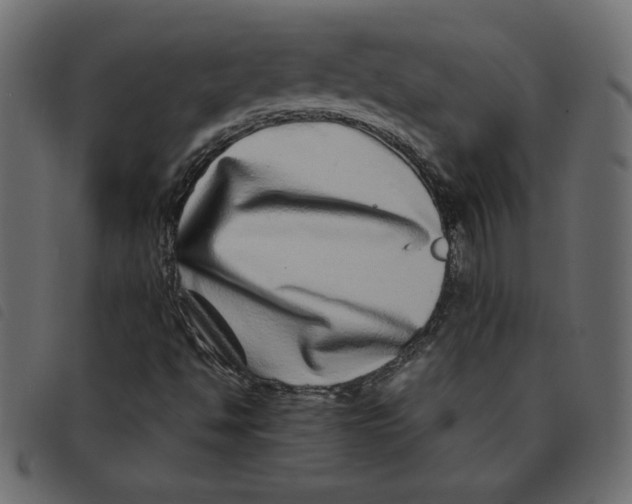 X0000092211494200710121118