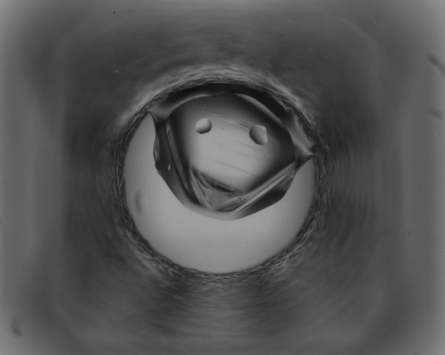 X0000092211496200710121118