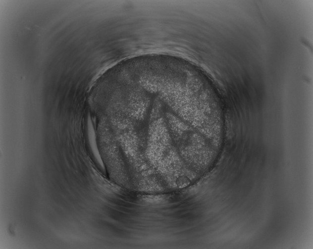 X0000092211497200710121118
