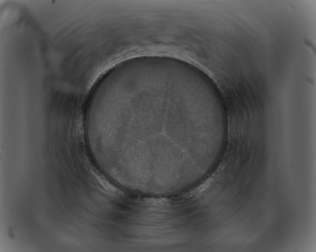 X0000092211498200710121118