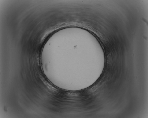 X0000092211499200710121118