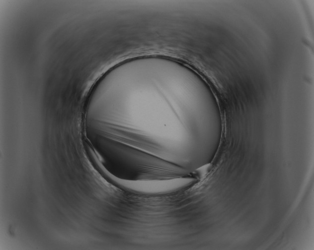 X0000092211500200710121118