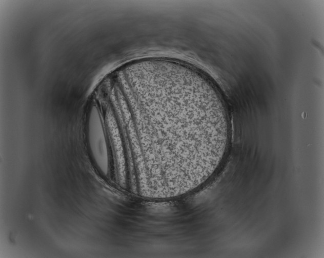 X0000092211501200710121118