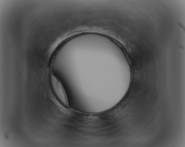 X0000092211503200710121118