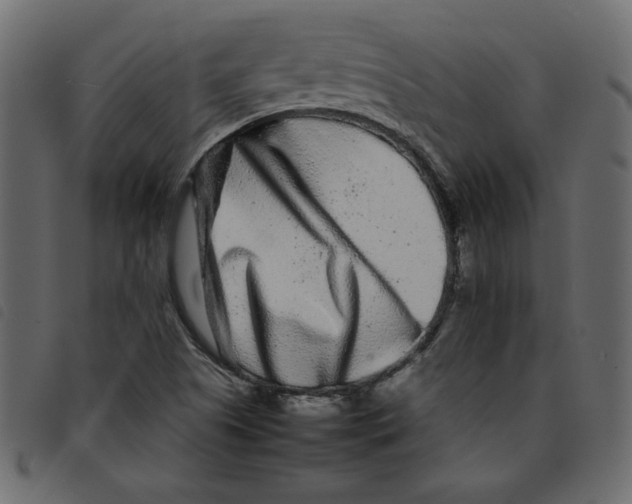X0000092211505200710121118