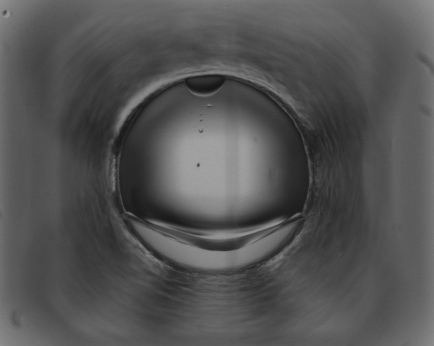 X0000092211510200710121118