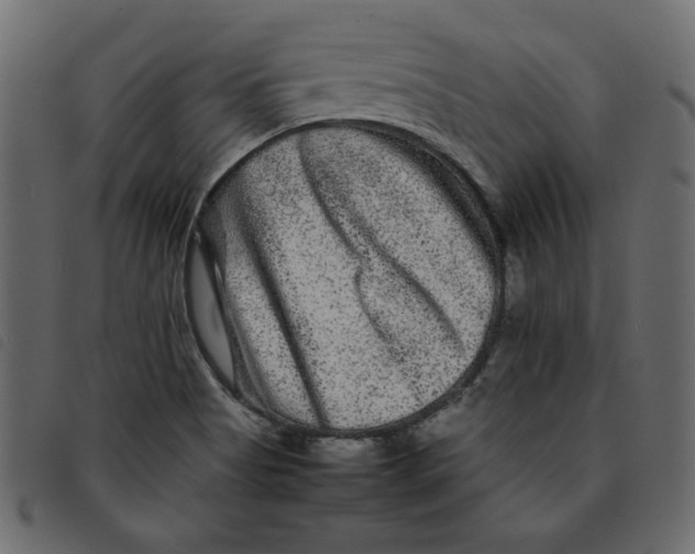 X0000092211513200710121118