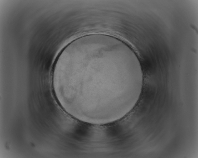 X0000092211514200710121118