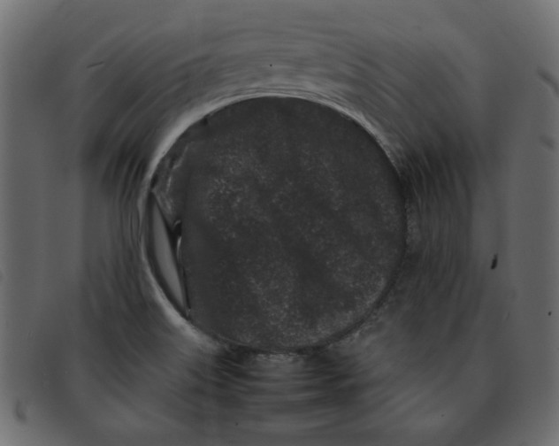 X0000092211515200710121118