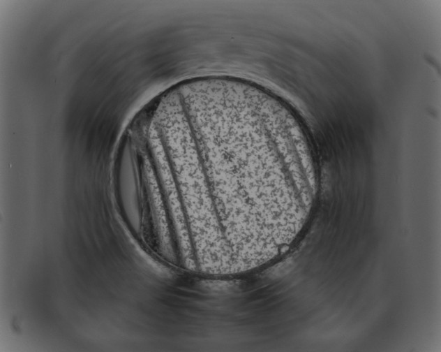 X0000092211517200710121118
