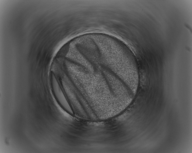 X0000092211519200710121118