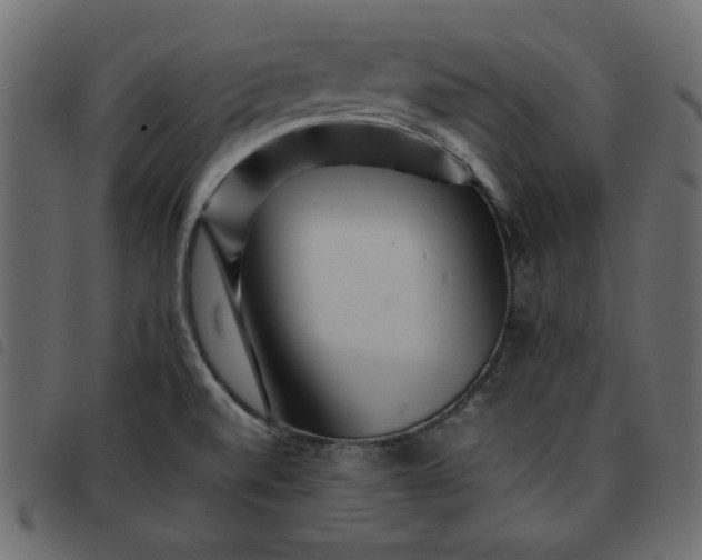 X0000092211520200710121118