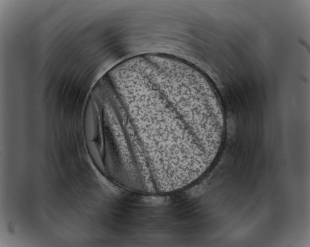 X0000092211521200710121118