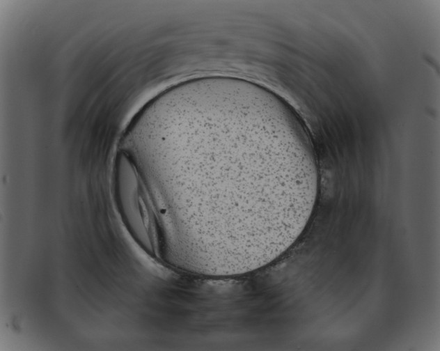 X0000092211523200710121118