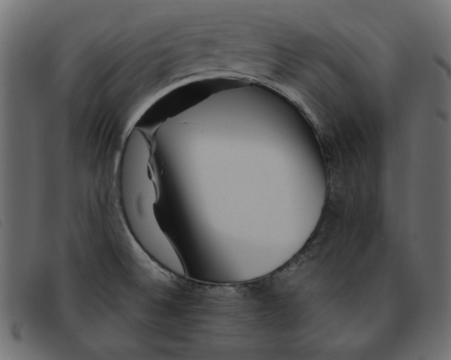 X0000092211524200710121118