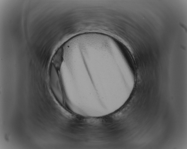 X0000092211525200710121118