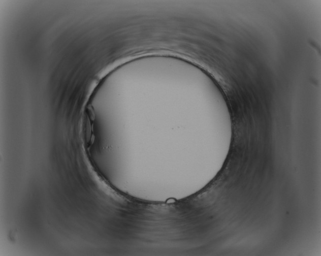 X0000092211526200710121118