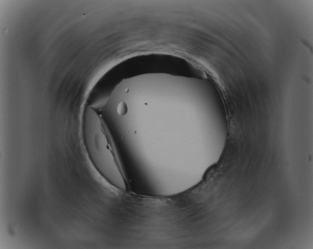 X0000092211528200710121118