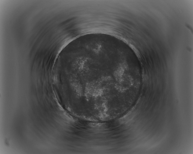 X0000092211529200710121118