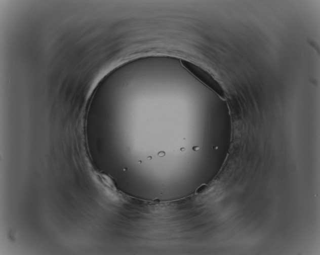 X0000092211530200710121118