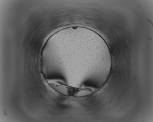 X0000092211534200710121118