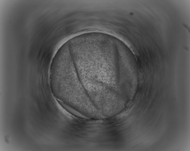 X0000092211535200710121118