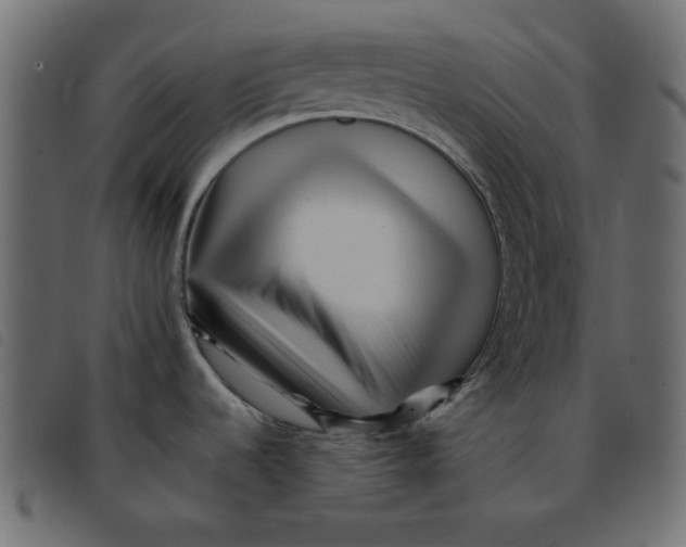 X0000092211536200710121118